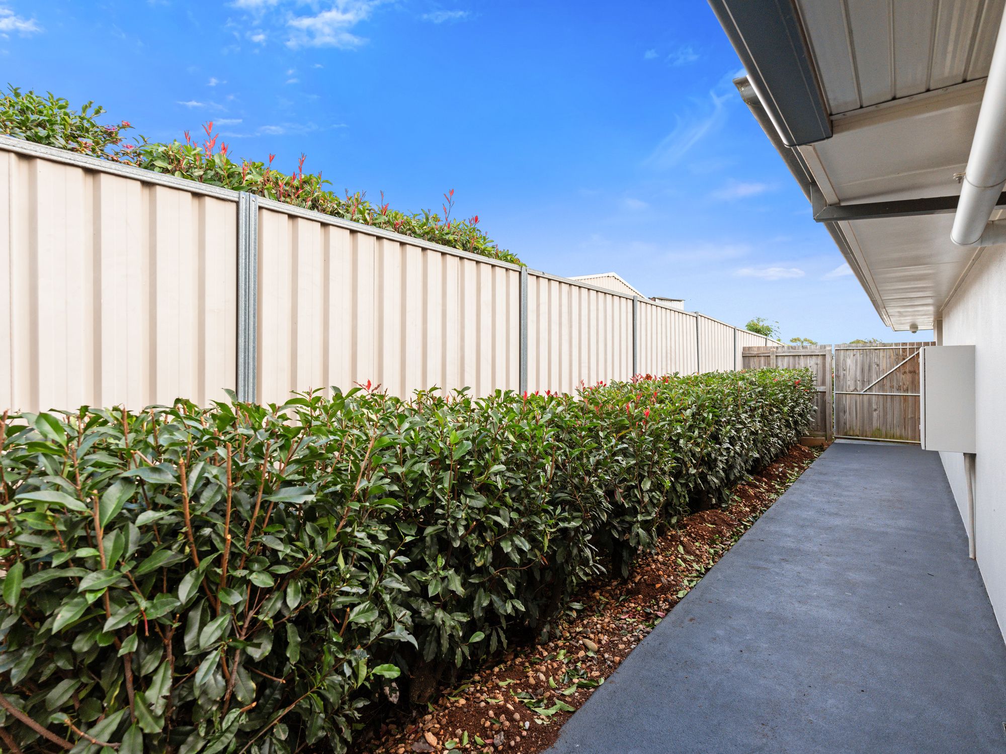 97/18 Village Court, Glenvale, Toowoomba, QLD, 4350 Retirement Properties For Sale Aveo