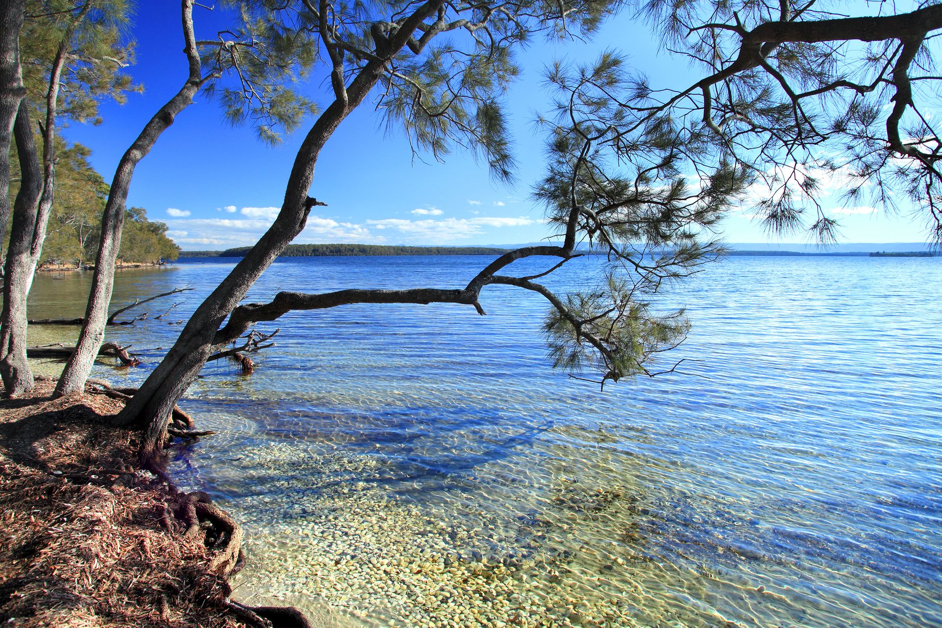 140/62 Island Point Road, St Basin, South Coast, NSW, 2540