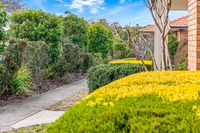 6/45 Cornish Street