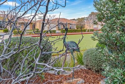6/45 Cornish Street