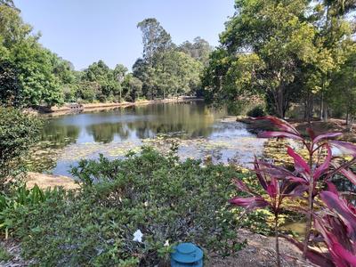 8 Oasis Walk/1 Ingram Place