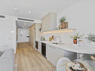 917/50 Longland Street