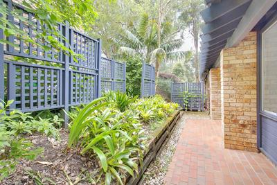 24/36-42 Cabbage Tree Road