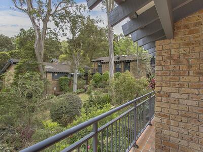 097/36-42 Cabbage Tree Road