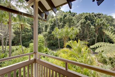310/79 Cabbage Tree Road