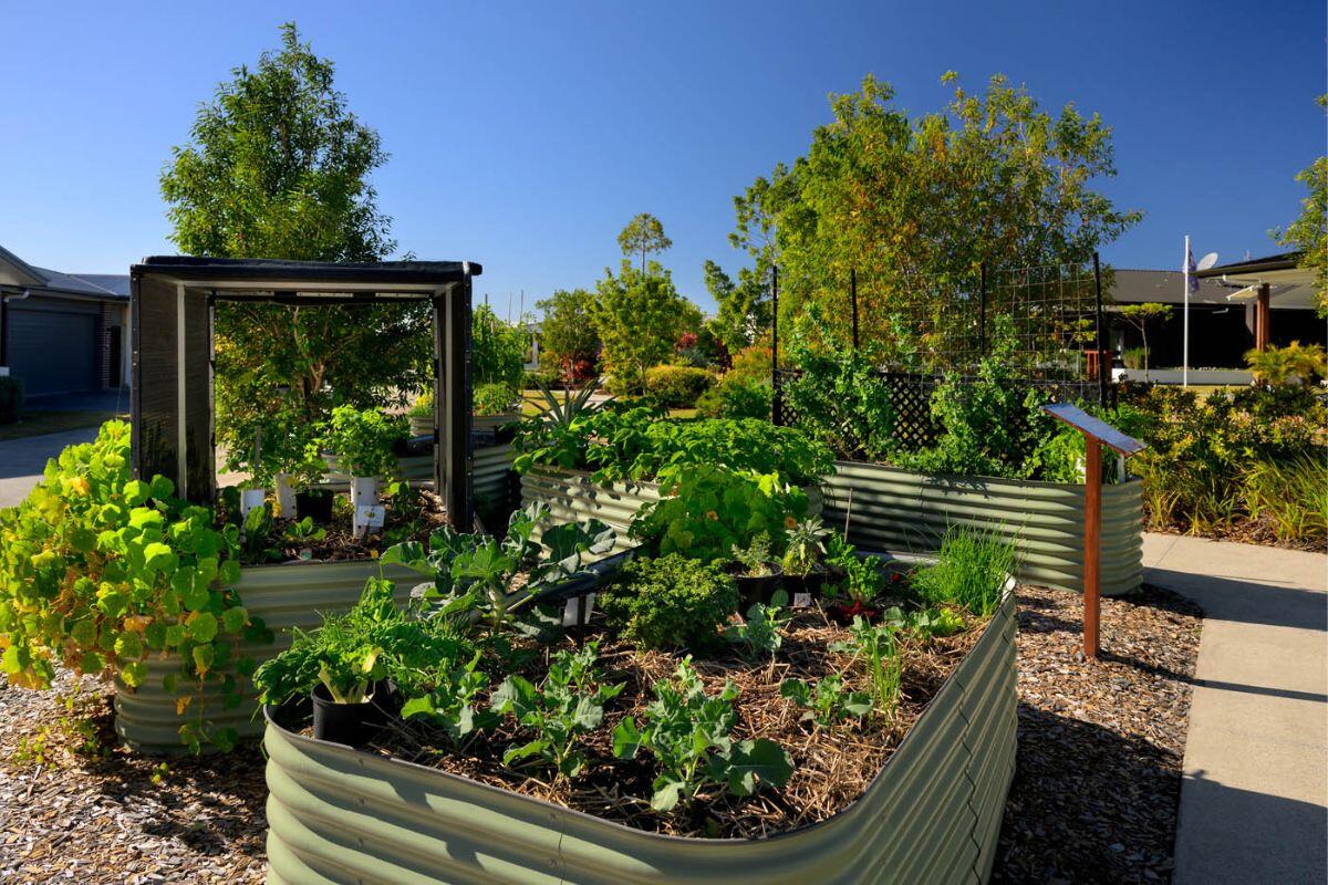 View Gallery item 18