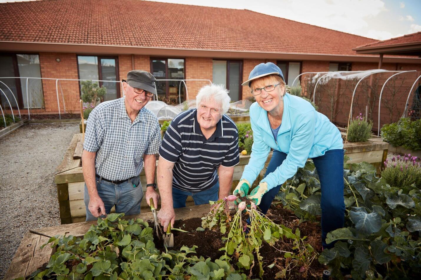 5034f2b7f834146d897174c3507b71a1929f0225