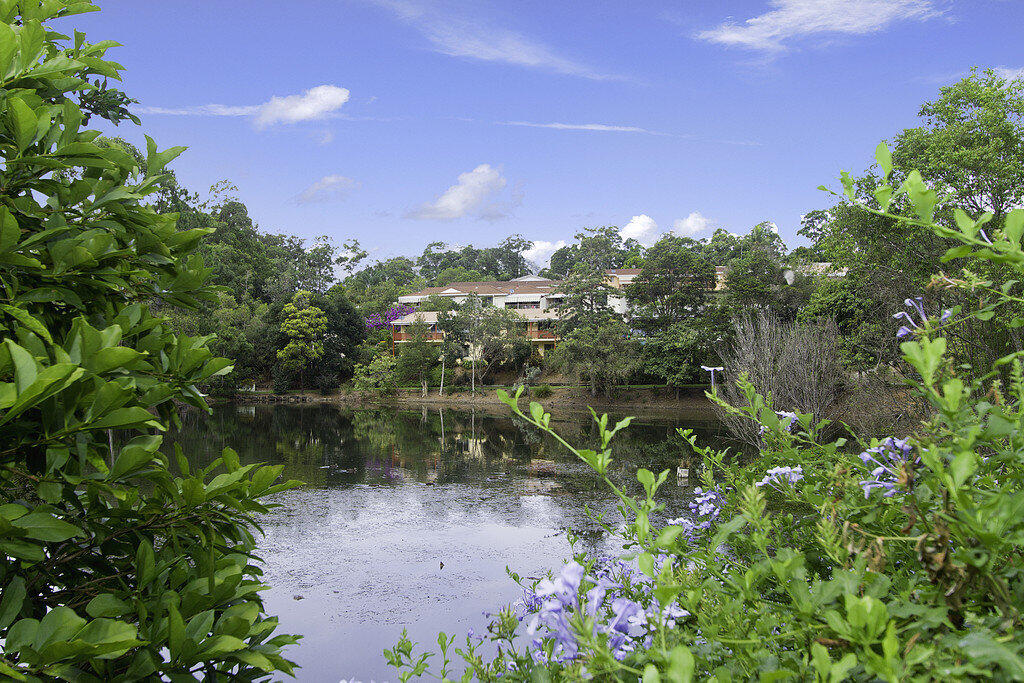 Mountain View looking over lake